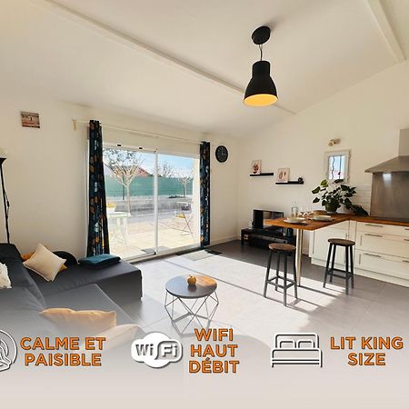 Appartement Le Cosy De La Ramee Tournefeuille Kültér fotó