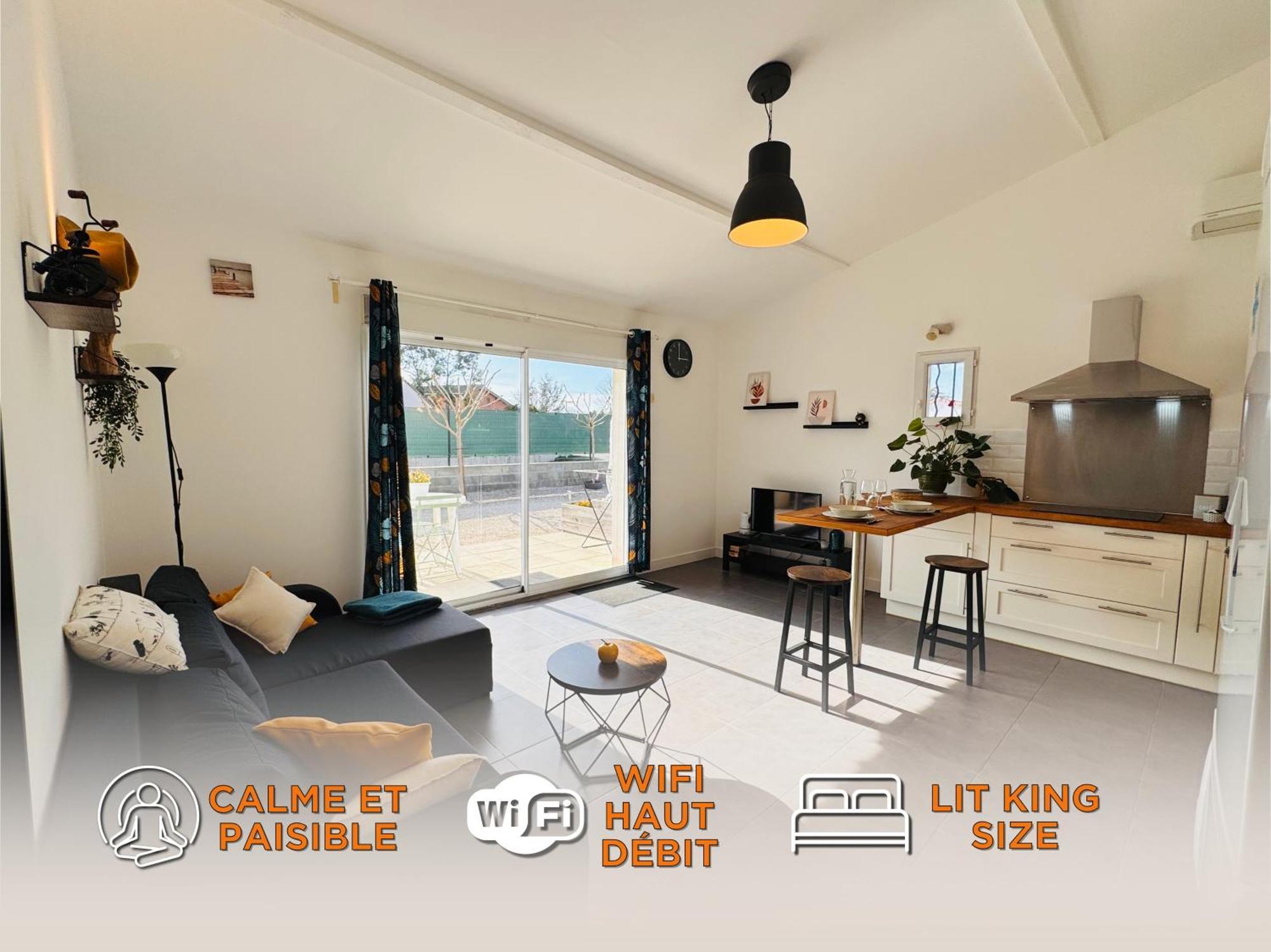 Appartement Le Cosy De La Ramee Tournefeuille Kültér fotó